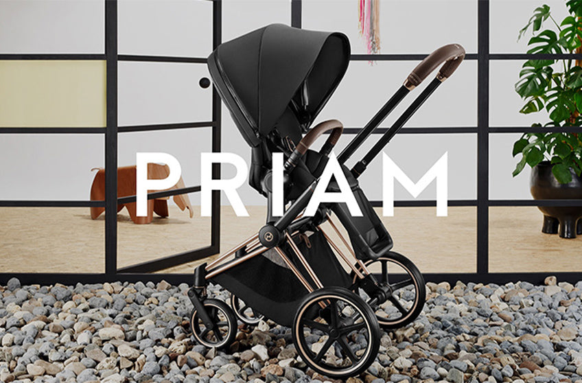 Cybex priam hot sale gold wings