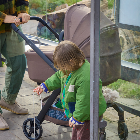 Joolz Travel Systems