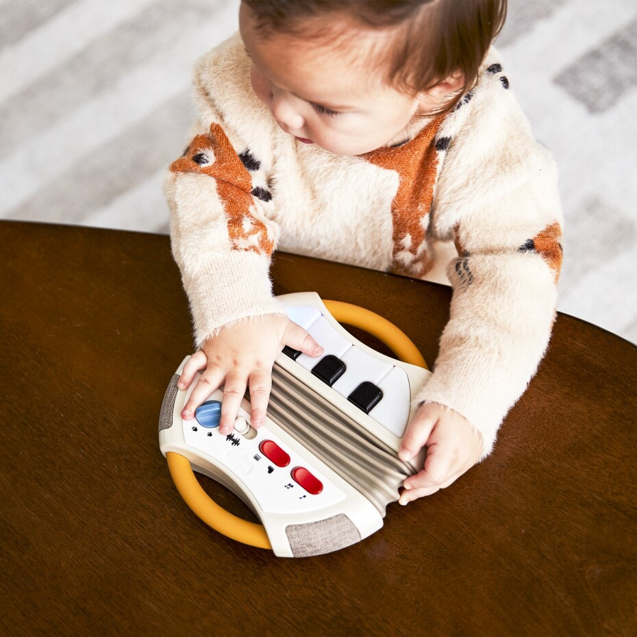 Tiny Rockers Accordion