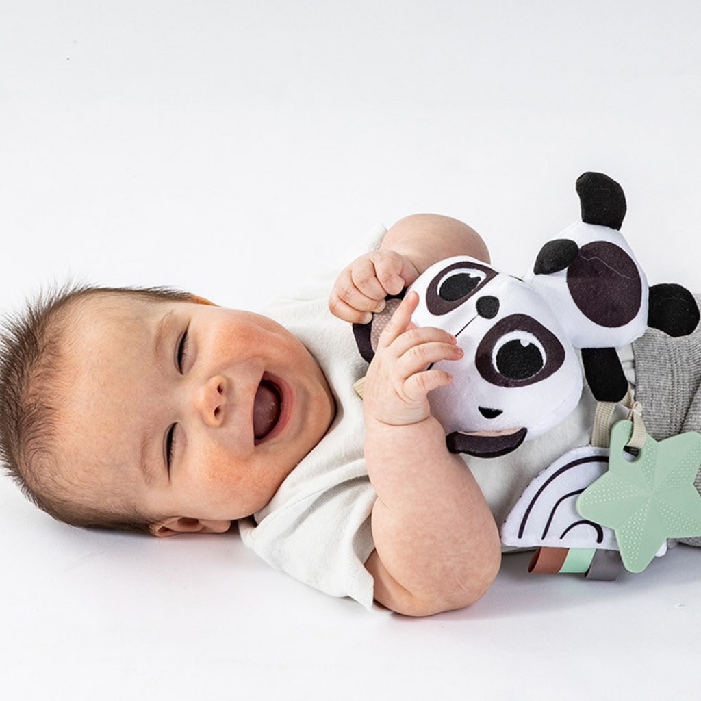 Tiny Love Panda Take Along Rattle Toy - Black & White