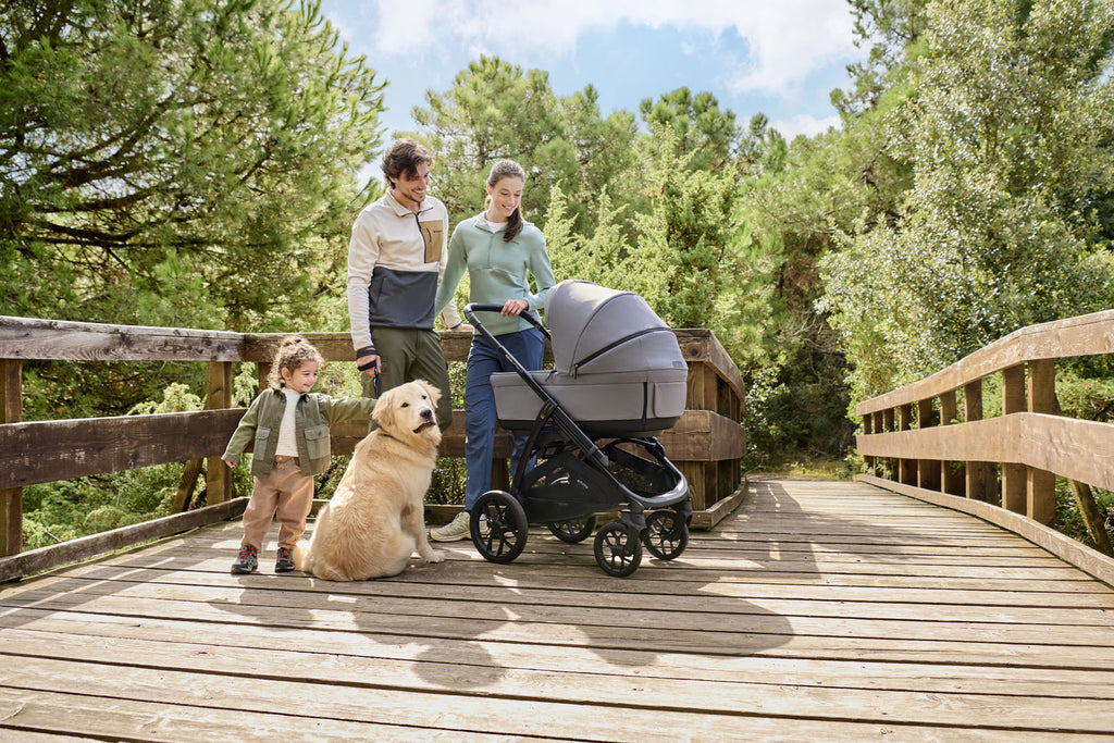 Inglesina Aptica XT Complete Pushchair | Taiga Green