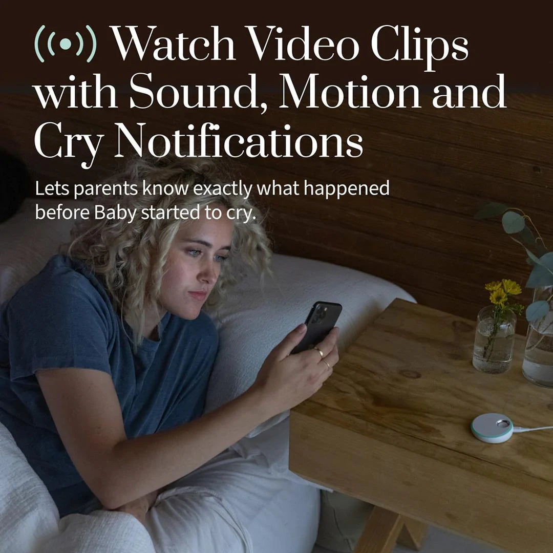 Owlet cam online on computer